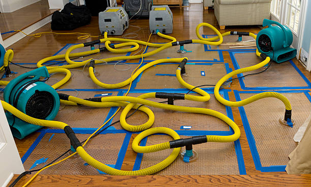 Professional Water Damage Repair technician working in DuPont, WA